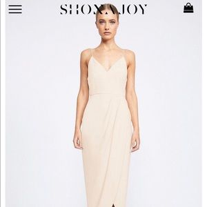 Shona Joy Core Cocktail Dress - Nude
